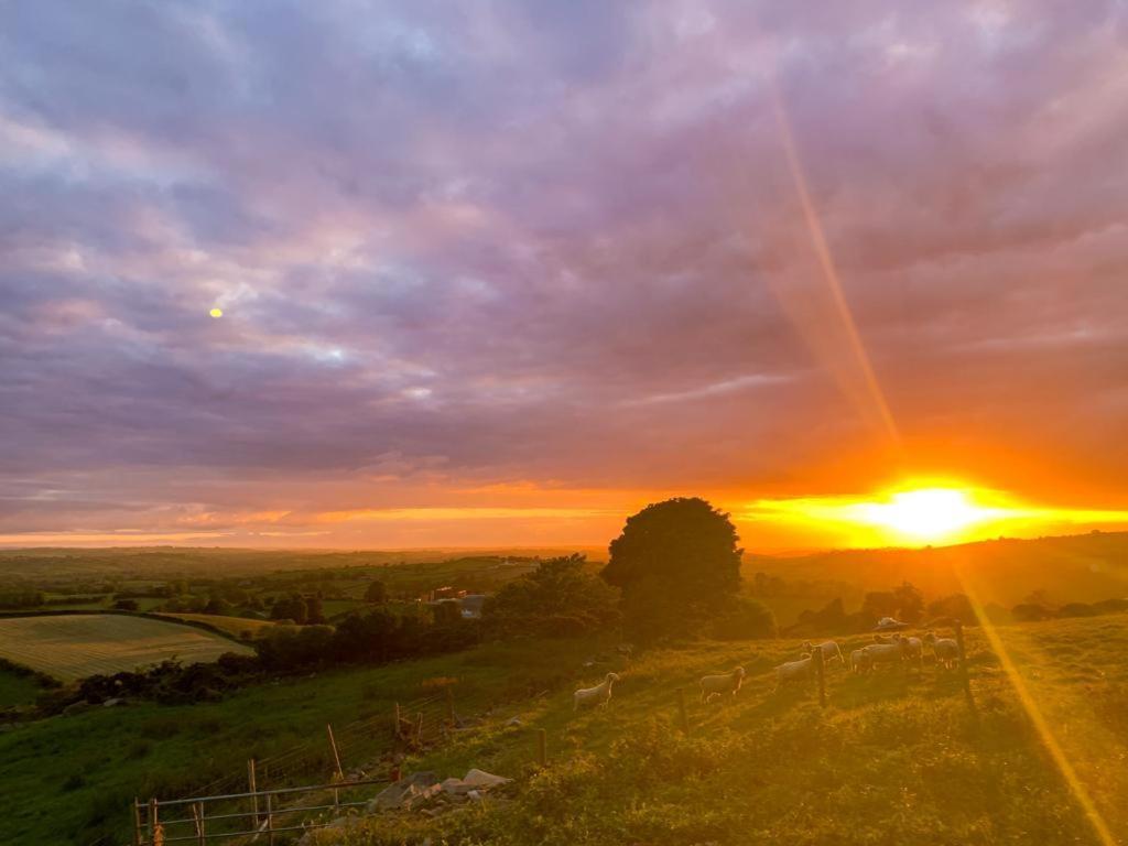 Вилла Hillhead Country Retreat Каслуэллан Экстерьер фото